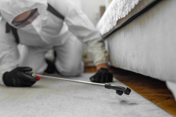 Professional Bed Bug Control technician working in Earlville, IL